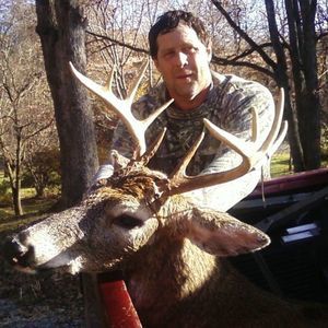 Meet your Posher, Terry